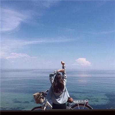 海贼王Online游戏下载